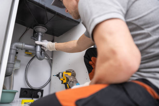 Best Local Plumber Services  in Columbus, NE